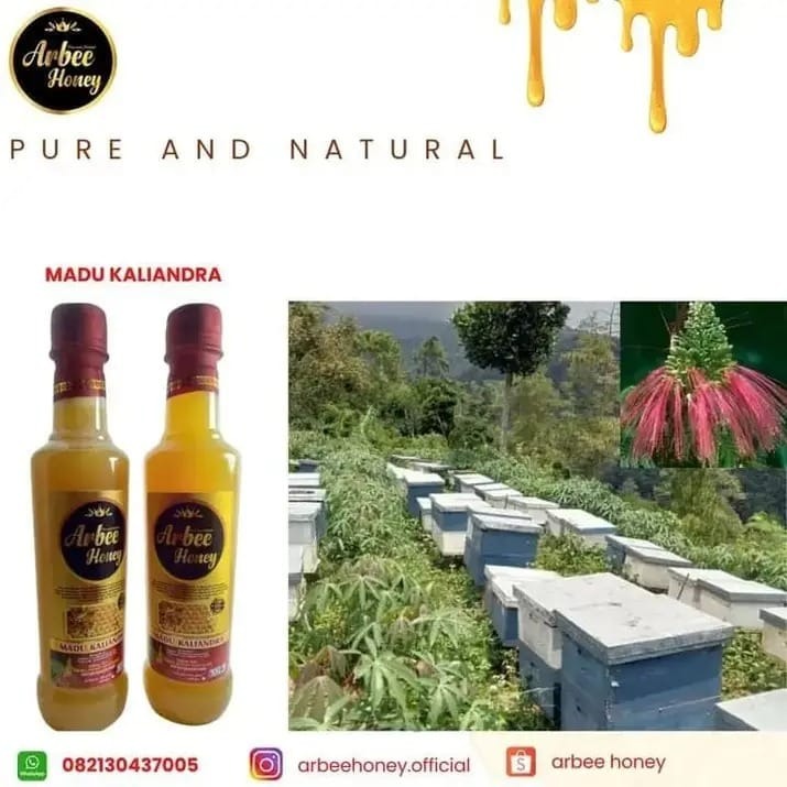 Madu Kaliandra (Gunung Wilis)